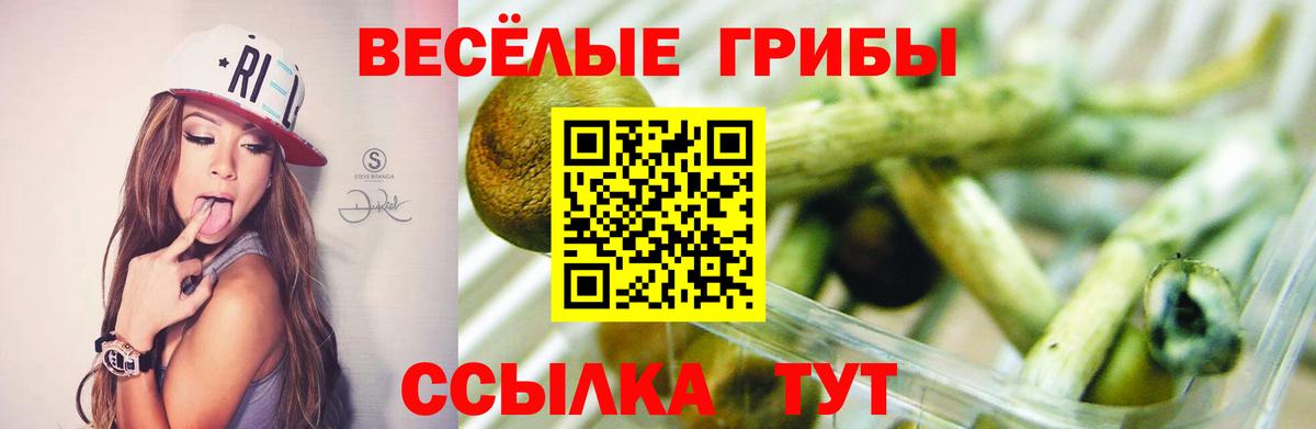 Анапа  Псилоцибиновые грибы Psilocybe  Вход с VPN 